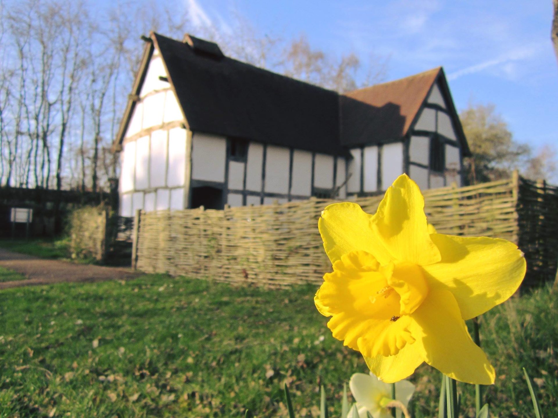 Plans to welcome visitors back to Avoncroft Museum in Summer 2021