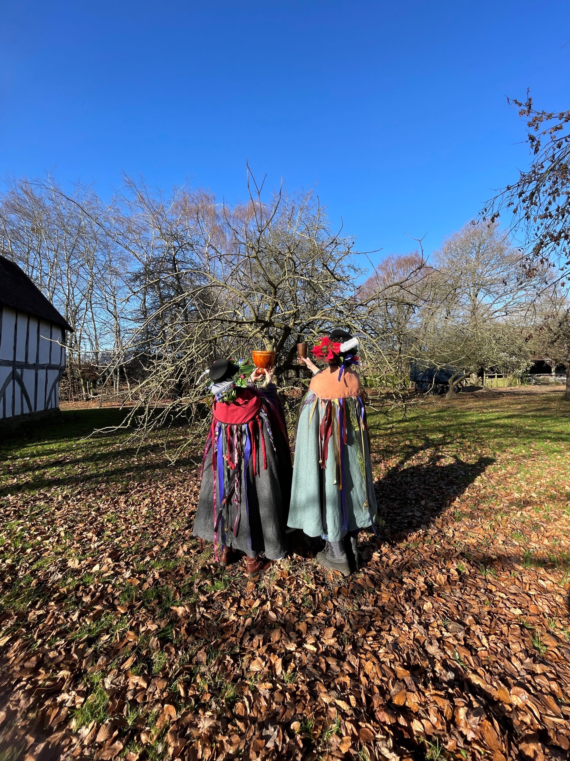 wassail procession leaders, dressed in cloaks and floral hats looking at the orchard in winter next to a medievil townhouse