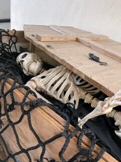 skeleton in a coffin with a big spider web