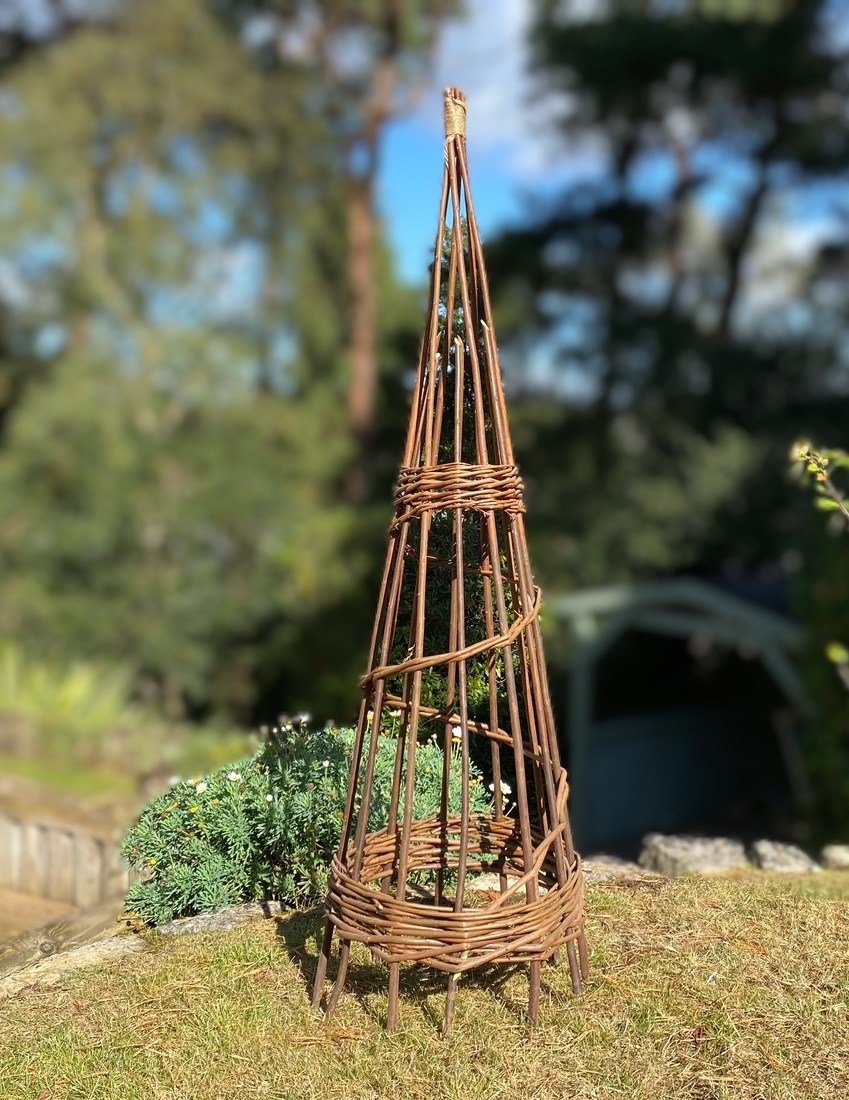 Garden Willow Obelisks: Saturday 29th March