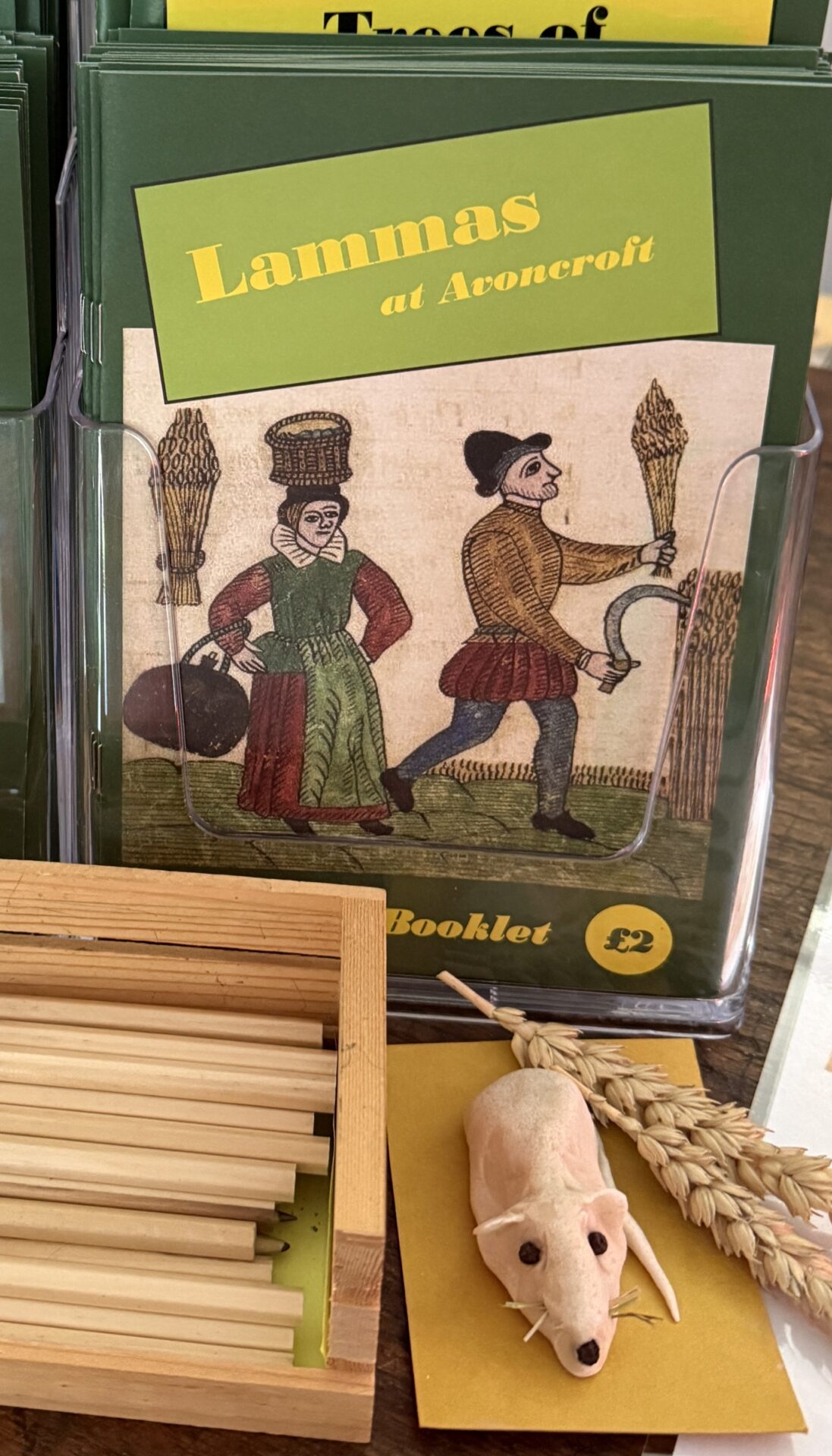 Summer Lammas at Avoncroft – Activity Booklet