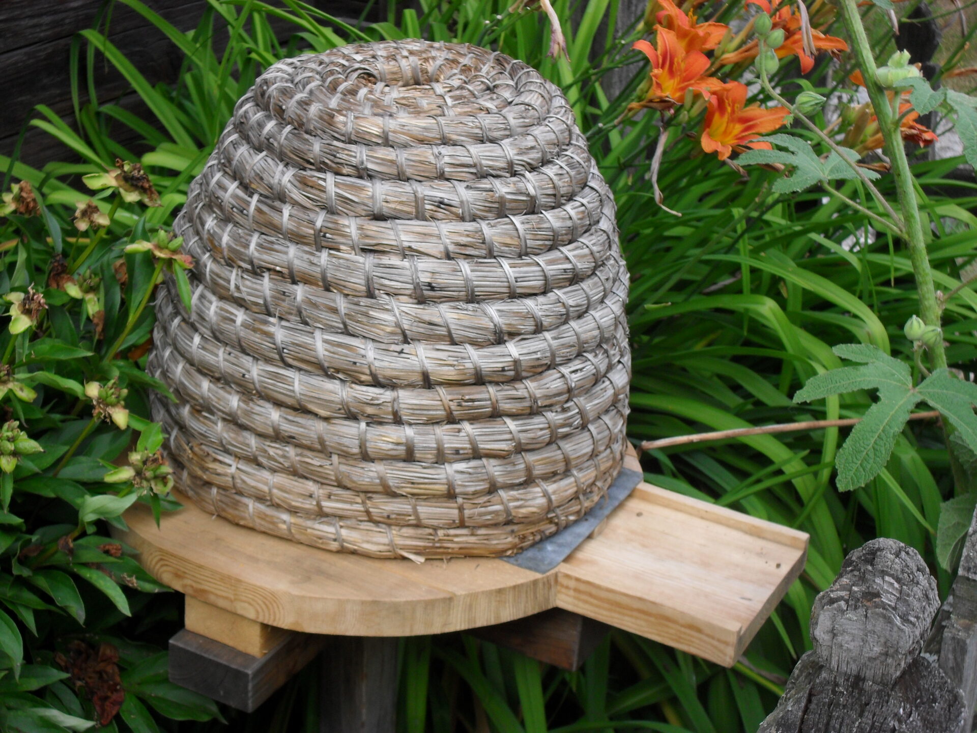 Beehive Skeps: Saturday 18th July